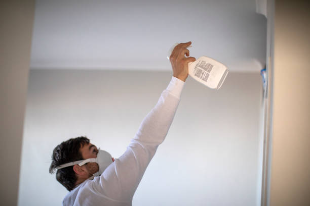 Best Commercial Mold Removal  in Hillsboro Beach, FL